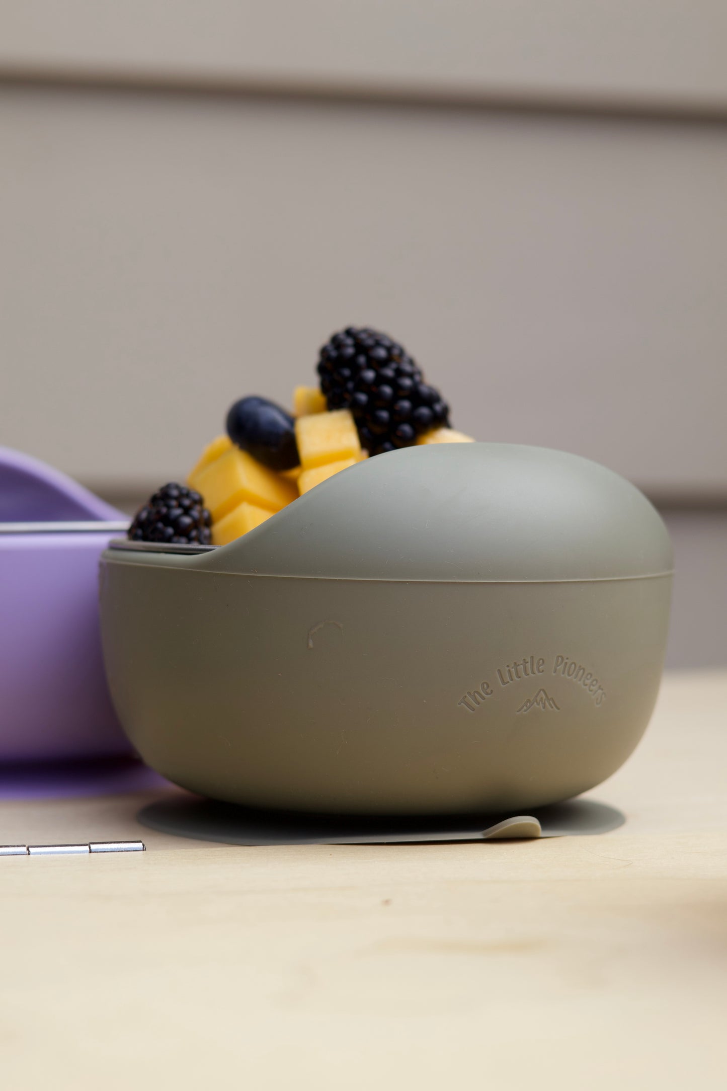 Suction Bowl