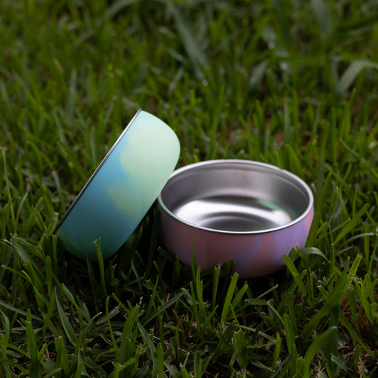 Everyday Bowl