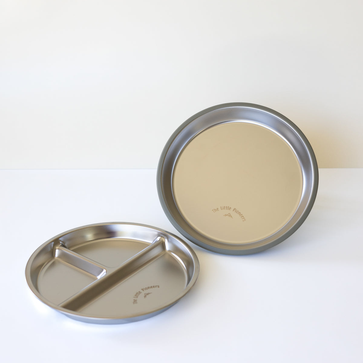 Suction Plate + Divider Insert