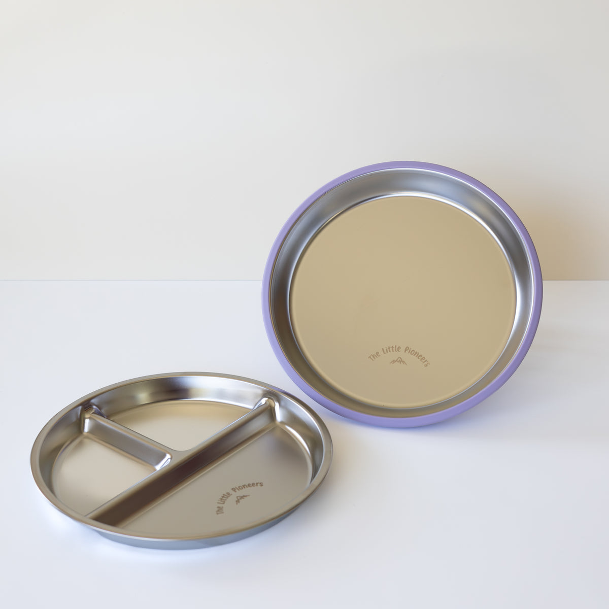 Suction Plate + Divider Insert