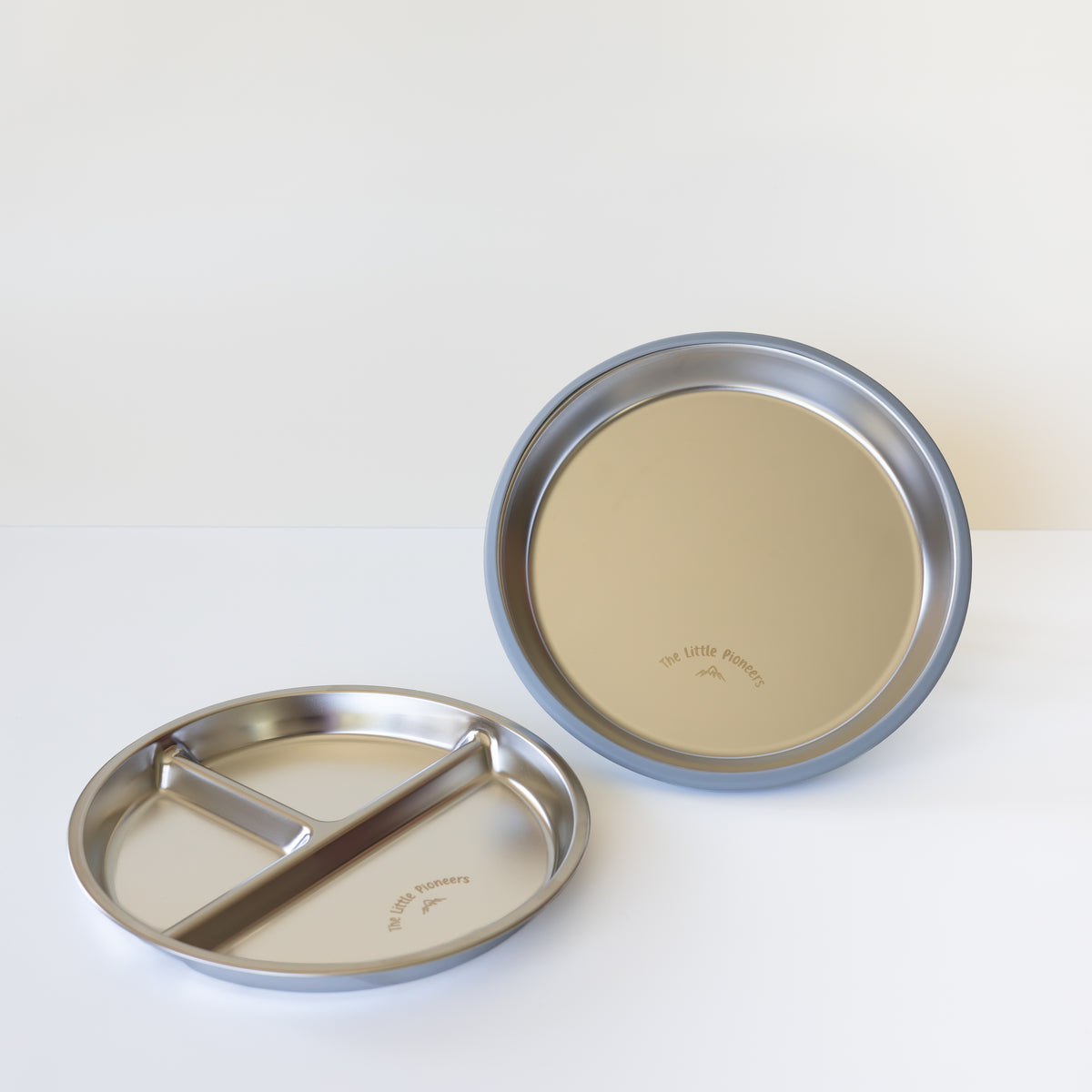 Suction Plate + Divider Insert