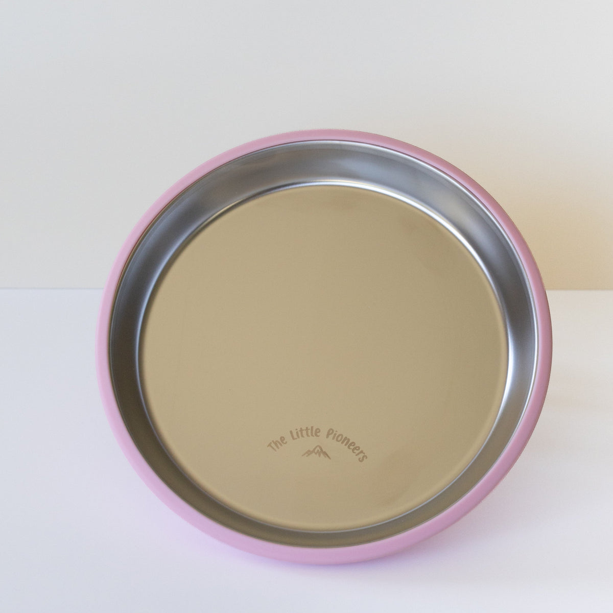 Suction Plate