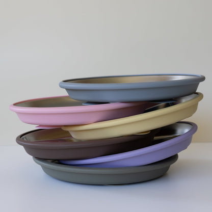 Suction Plate