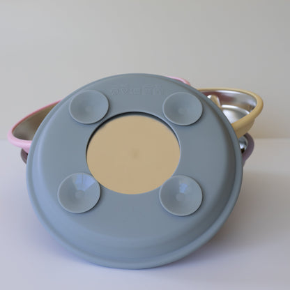 Suction Plate